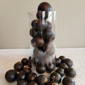 Vickerman 1-2" Brown Quinto Balls Vase  Filler